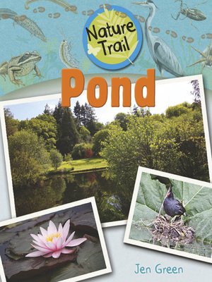 cover image of Pond